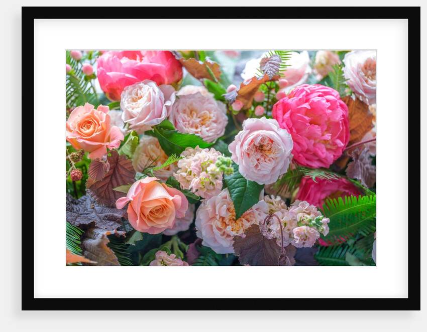 Mixed flowers by Assaf Frank